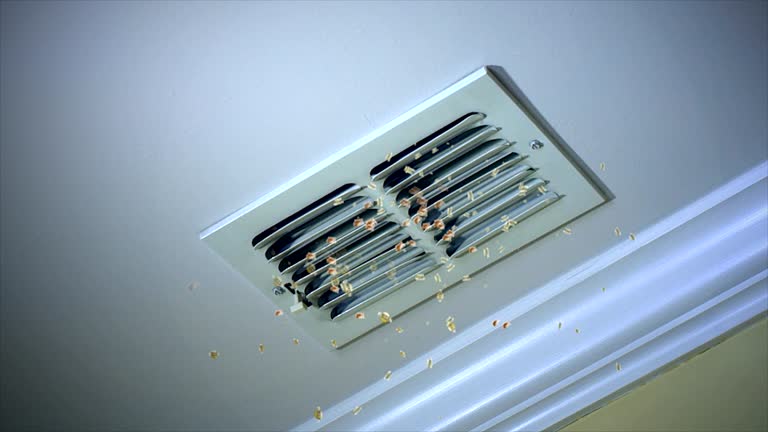 Affordable HVAC Duct Cleaning in HI