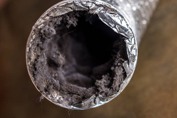 Best Air Duct Cleaning Near Me in HI