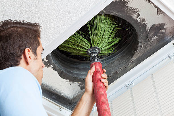 Best Affordable HVAC Duct Cleaning  in Pahala, HI